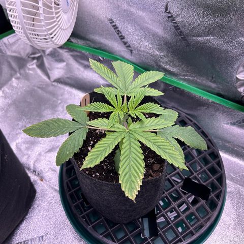 1 growlog timeline photo