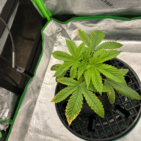 1 growlog timeline photo