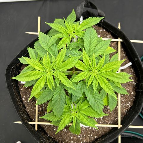 1 growlog timeline photo