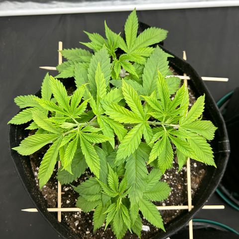 1 growlog timeline photo