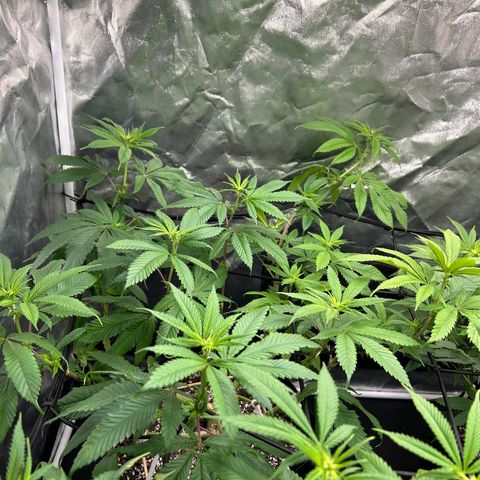 1 growlog timeline photo