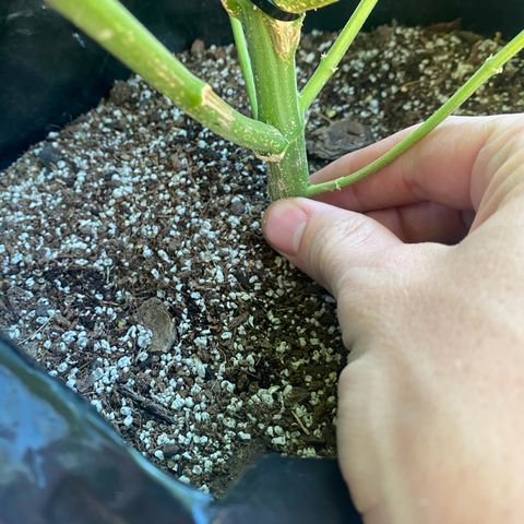 Gift from john  growlog timeline photo