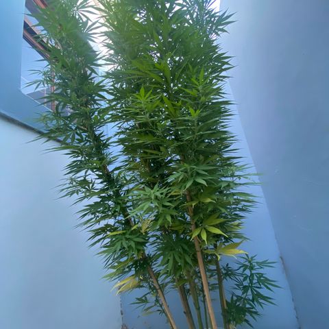 Gift from john  growlog timeline photo