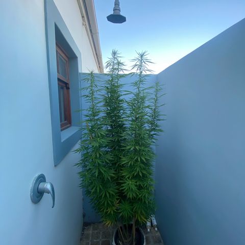 Gift from john  growlog timeline photo