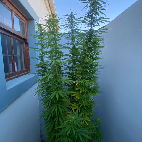 Gift from john  growlog timeline photo