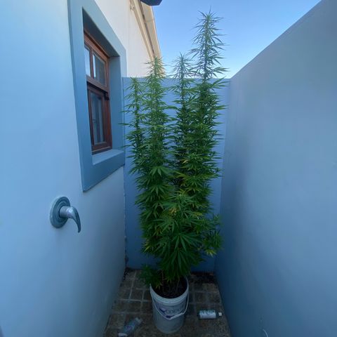 Gift from john  growlog timeline photo