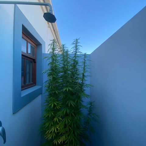 Gift from john  growlog timeline photo