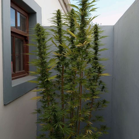 Gift from john  growlog timeline photo