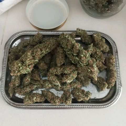 Gift from john  growlog timeline photo