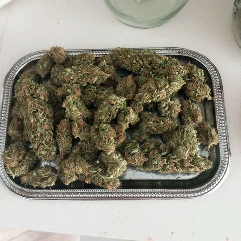 Gift from john  growlog timeline photo