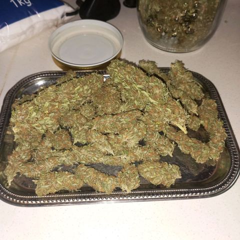 Gift from john  growlog timeline photo