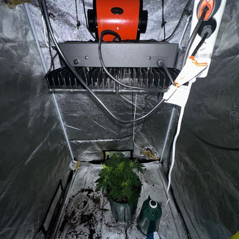 Berry growlog timeline photo