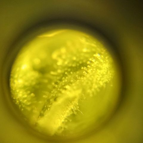 Bruce Banner Auto growlog timeline photo