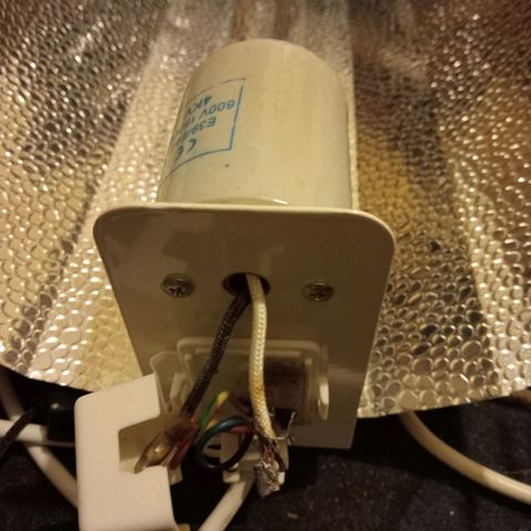 C - 🦍glue #4 growlog photo: The shroud shorted out as the lights were due to turn on. Luckily we are anxious people & check on the tent at lights on time every day. We managed to turn everything off & ordered another shroud. It is due to arrive in 24-48hrs. Hopefully the girls don't suffer