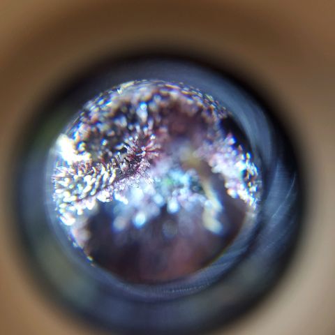 Bloody Skunk growlog timeline photo
