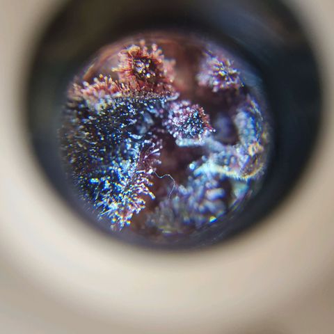 Bloody Skunk growlog timeline photo