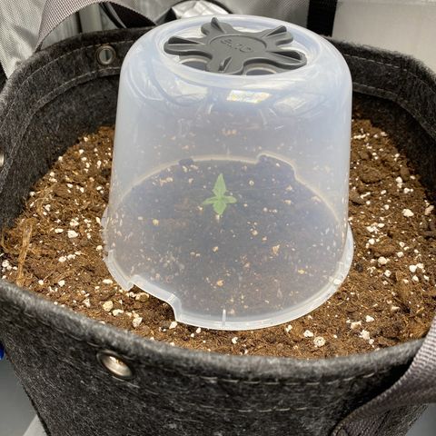 Titan F1 Automatic growlog timeline photo