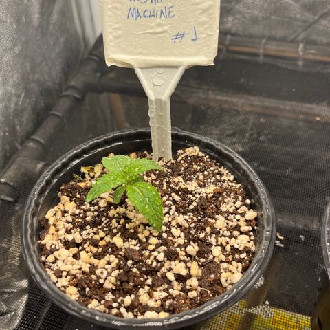 Washing Machine #1 growlog timeline photo