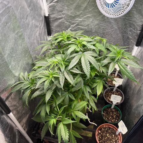 Washing Machine #1 growlog timeline photo