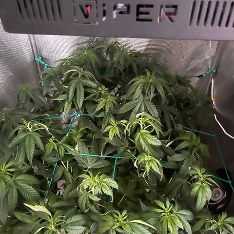 Washing Machine #2 growlog timeline photo
