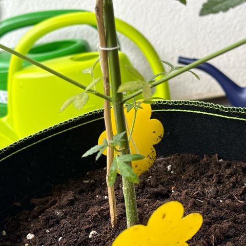 O 3.0 growlog timeline photo