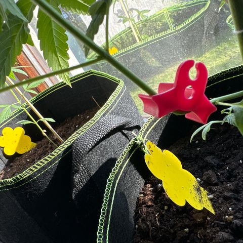 O 3.0 growlog timeline photo