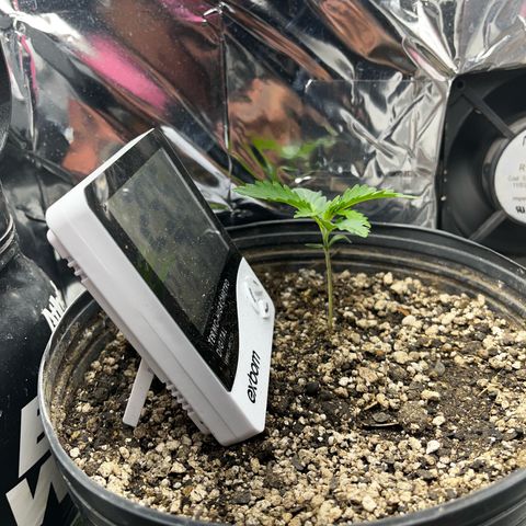 Preenseeds 2 geração  growlog timeline photo
