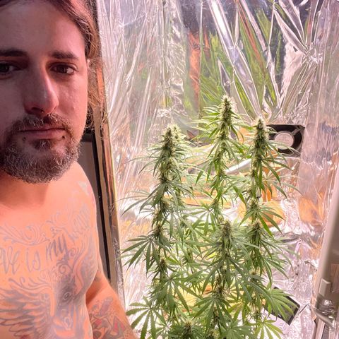 Preenseeds 2 geração  growlog timeline photo