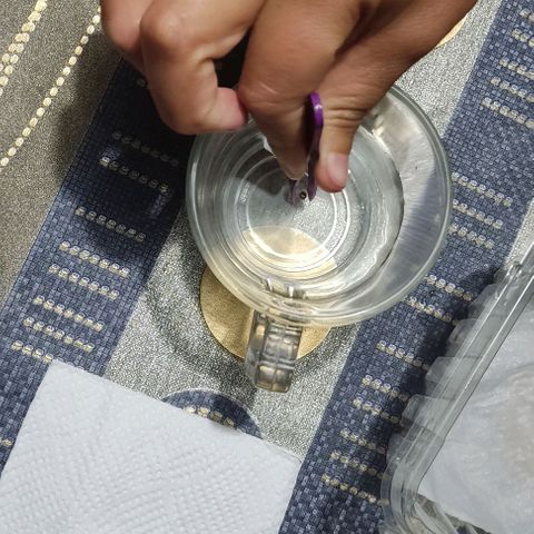 CHALUPAS growlog photo: Se colocó 2ml de agua oxigenada en agua hervida dejada al medio ambiente y en este vaso se colocó las semillas 
Se humedeció una servilleta para que las semillas germinen 
El recipiente con la semilla fue colocado atrás de la refrigeradora y tapada con una tela para que no le diera directamente la luz y a su vez mantener caliente las semillas 
Se revisó al siguiente día si había brotado la radícula y verificar que la servilleta siguiera húmeda 