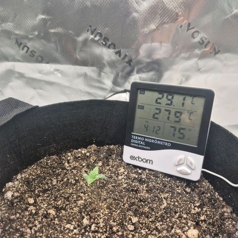 Carmella growlog photo: Adicionado um copo na tentativa de melhorar o percentual de umidade. 
Deu certo 😊