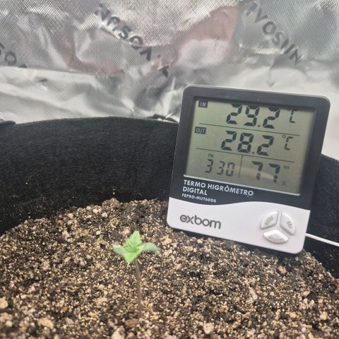 Carmella growlog photo: Adicionado um copo na tentativa de melhorar o percentual de umidade. 
Deu certo 😊