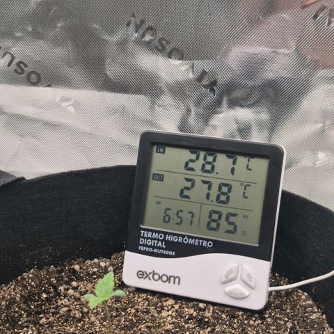 Carmella growlog timeline photo