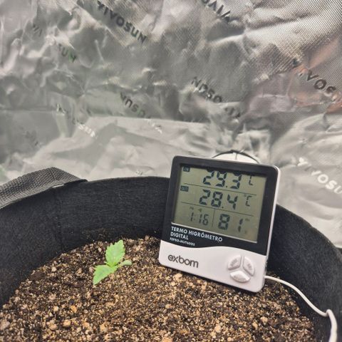 Carmella growlog photo: Umidade de madrugada bateu os 100% - abanando imediatamente desceu. Precisa de um ventilador urgente