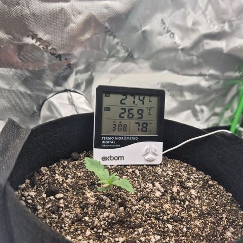 Carmella growlog timeline photo