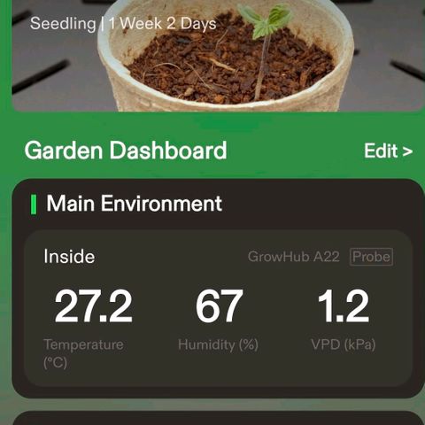 Lina growlog timeline photo