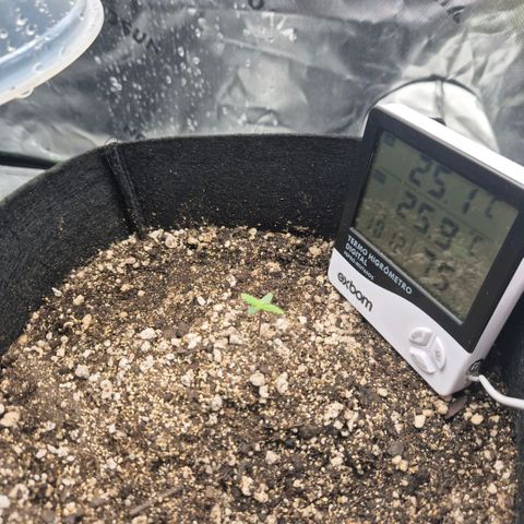 Malu growlog timeline photo
