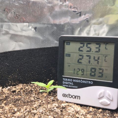 Malu growlog timeline photo