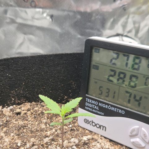 Malu growlog timeline photo
