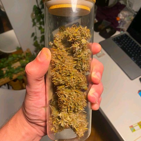 Carmella growlog photo: Carmen 💚💚💚 