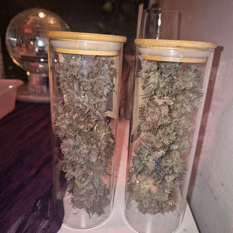 Lina growlog timeline photo