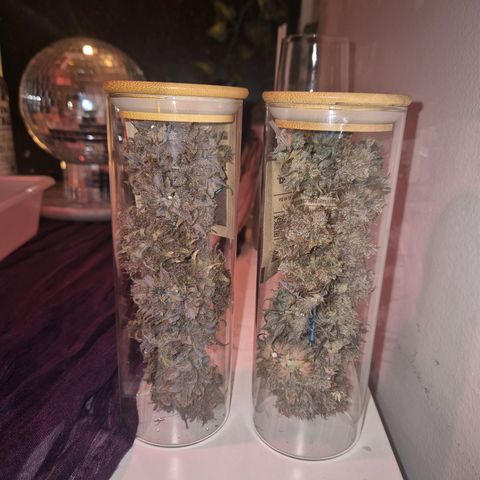 Lina growlog timeline photo