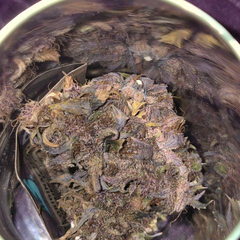 Lina growlog photo: 💜💜💜💜💜