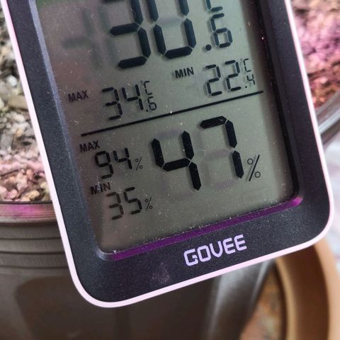 Bruce Banner growlog photo: Dehumidifier for 3hours put rh from 69% to 43%