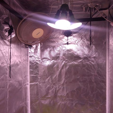 S/N growlog photo: Ventilador superior.
