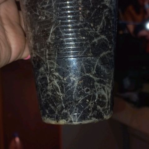 Purple Punch 1 growlog timeline photo