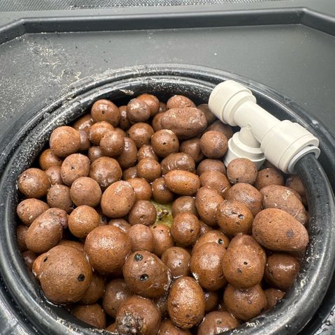 Geflügel und Feingebäck growlog timeline photo