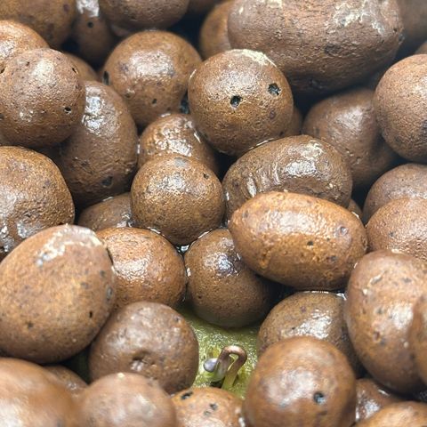 Geflügel und Feingebäck growlog timeline photo