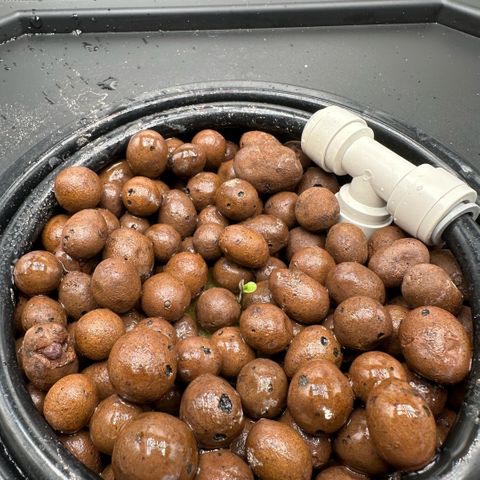 Geflügel und Feingebäck growlog timeline photo