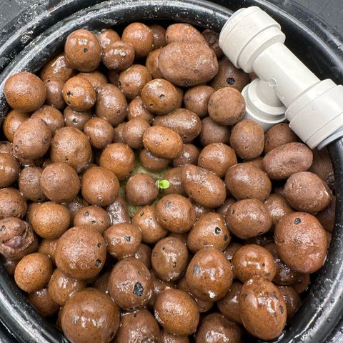 Geflügel und Feingebäck growlog timeline photo