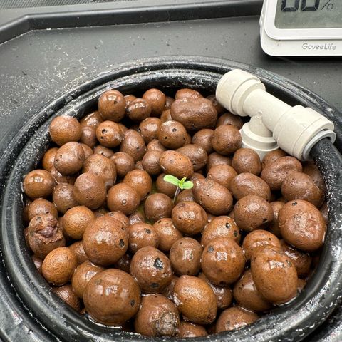 Geflügel und Feingebäck growlog timeline photo
